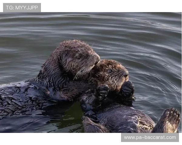 在水中逗留时间远超睡眠时长成为我们生活的新常态