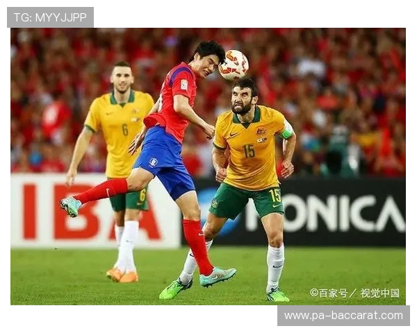 亚洲杯今日赛场表现均衡个人贡献度持续稳定发展趋势观察全面解读